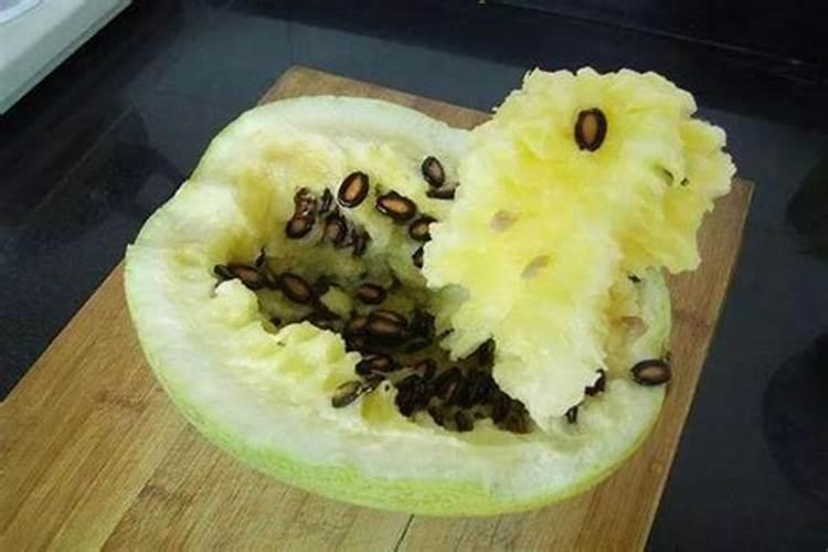 籽瓜是什么植物的瓜？