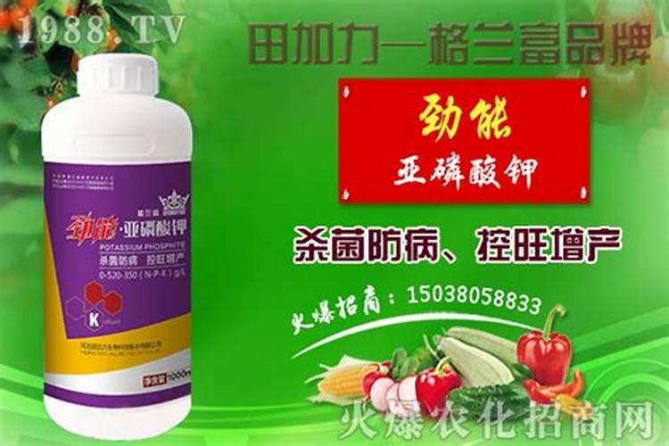 棉花的需肥规律 棉花怎么施肥能高产
