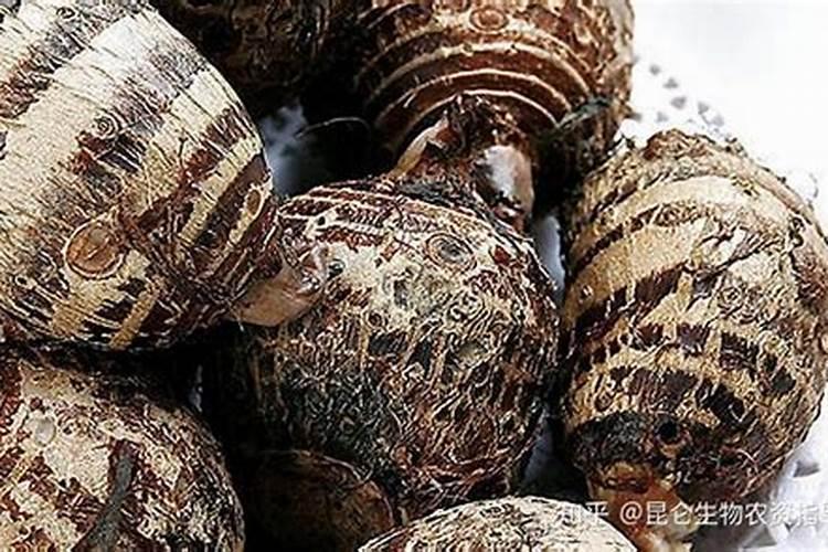 芋头膨大期用磷酸二氢钾喷叶面还是喷根好？