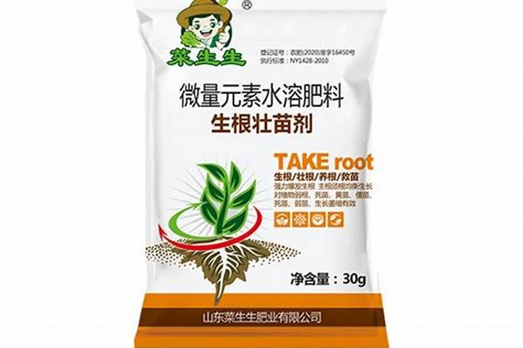 碳元素对植物的作用及功能 碳在植物生长中的作