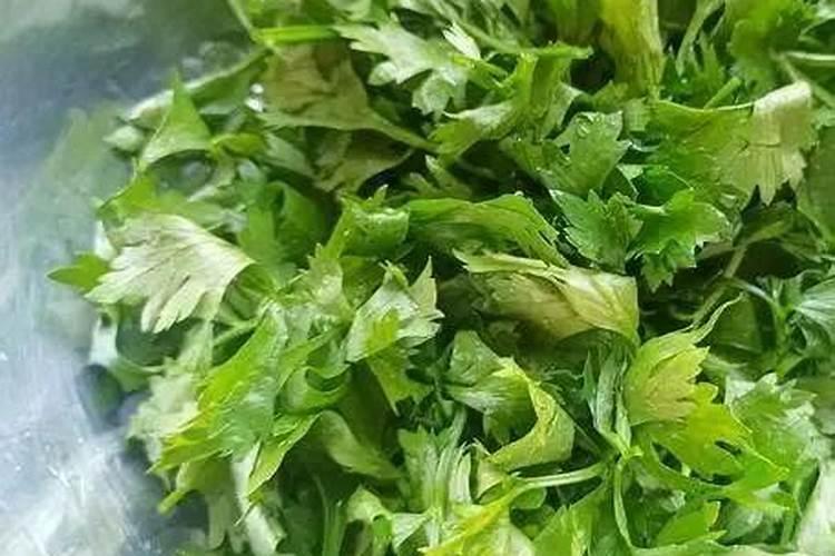 专家你好,请问芹菜上面的黑斑点是什么病？如何防治？