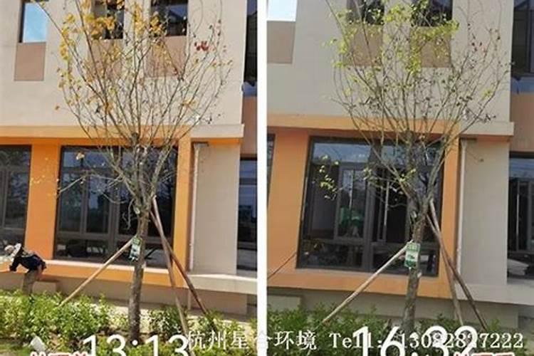 钾肥放三年了还能用吗
