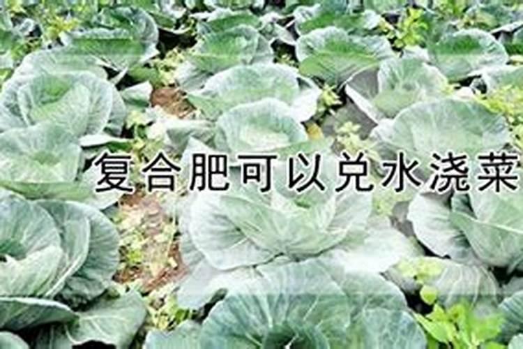 氮肥、复合肥兑水后可以放几天？