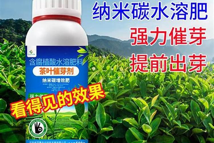 茶树催芽壮芽用什么药最快