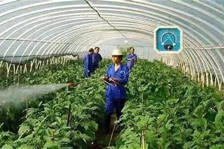 弥雾法的利用率是多少