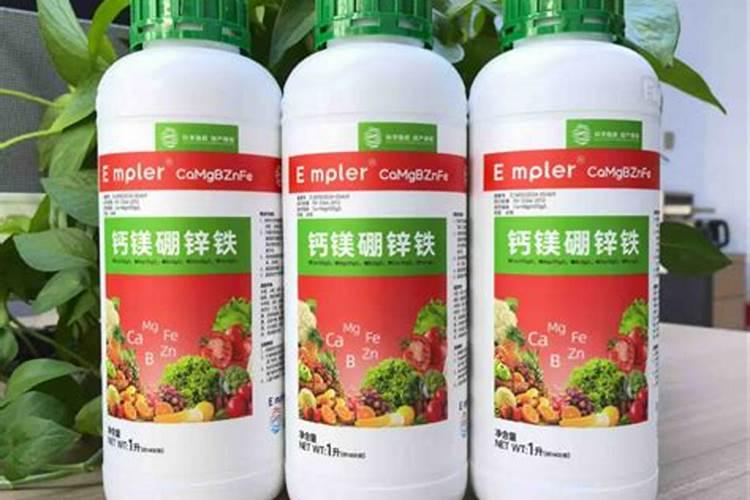 怎样才能买到好肥料