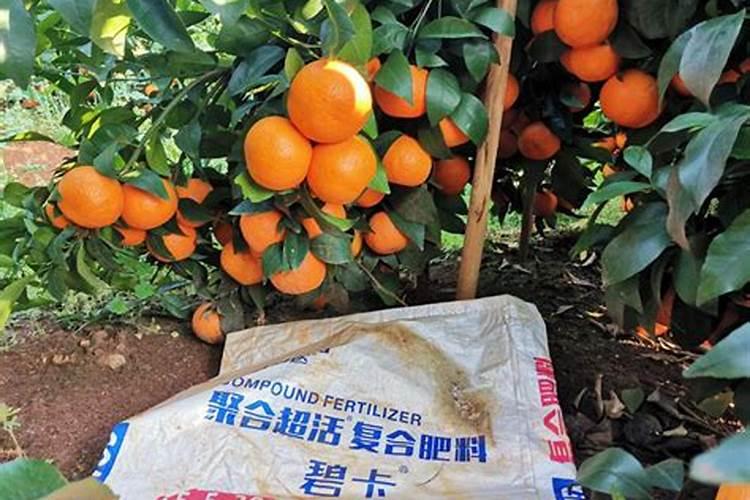 请问沃柑什么施肥果才甜