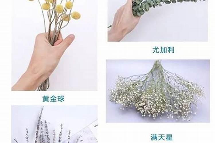 月季长花苞后怎么施肥