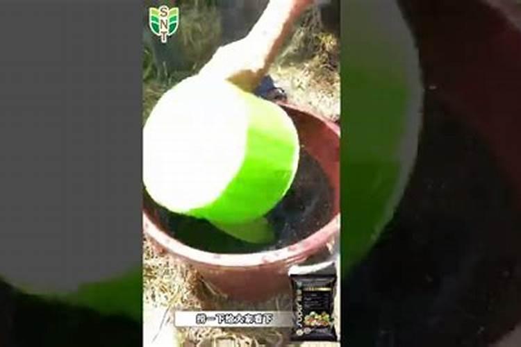 1克黄腐酸钾兑多少水