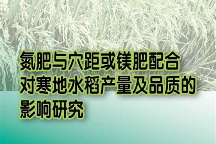 氮肥在水稻有什么作用