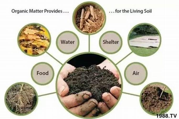 高钾滴灌肥和碳铵混滴使用方法