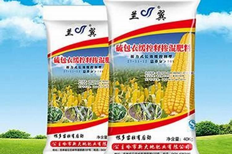 现在公主岭地区玉米的价格