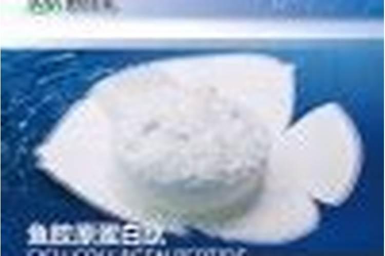 鱼蛋白肥料厂家前十名