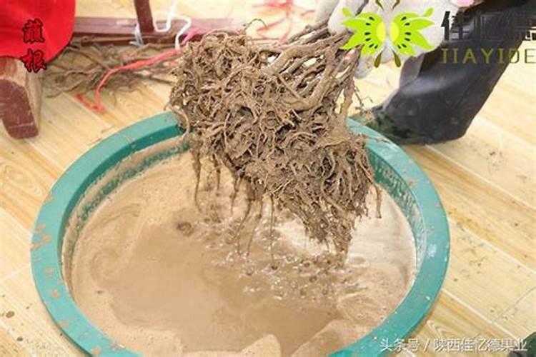 黄腐酸钾的使用方法