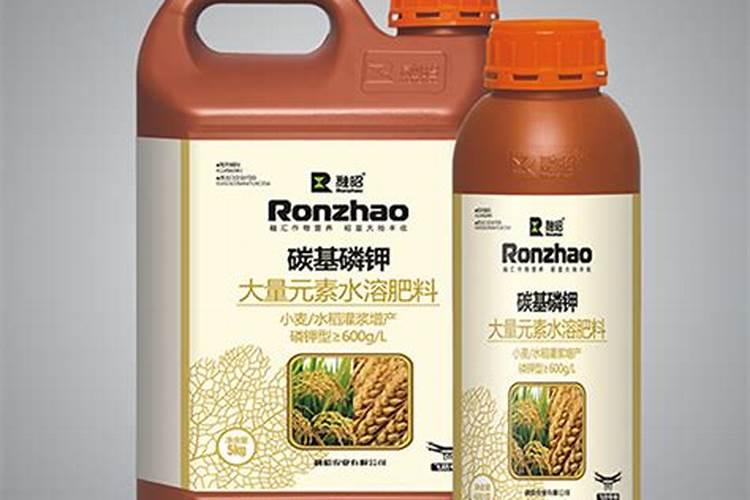 永春碳基生态肥,为什么会如此畅销？