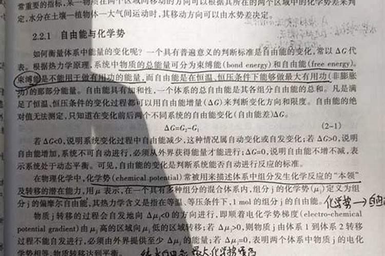 黄泥地适合种植什么？