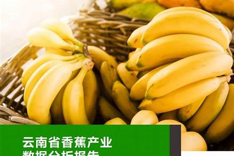 富岛复合价格查询