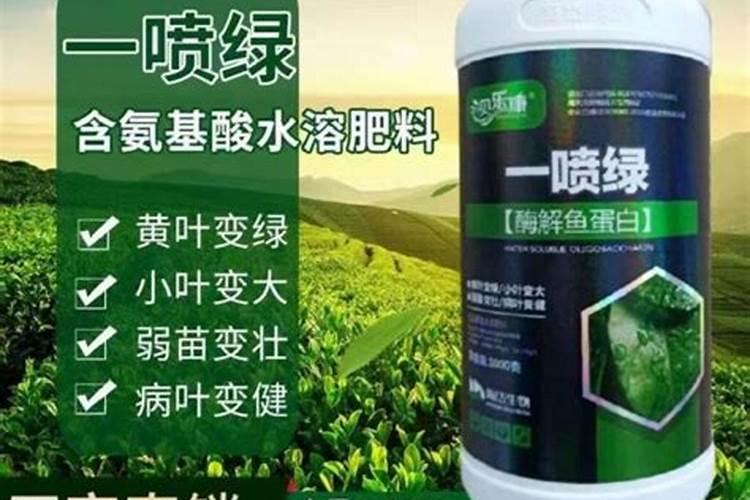 橘子树结的果酸的怎么变甜