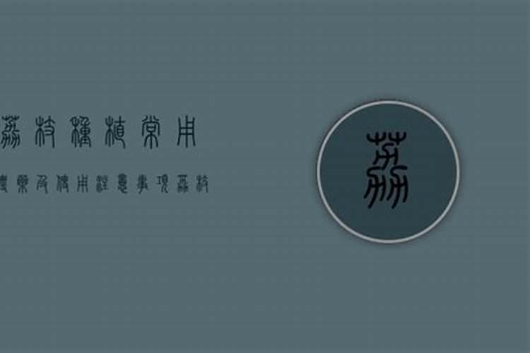 用什么叶面肥可以使荔枝熟得颜色好