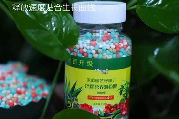 多肉控释肥和缓释肥的区别是什么？