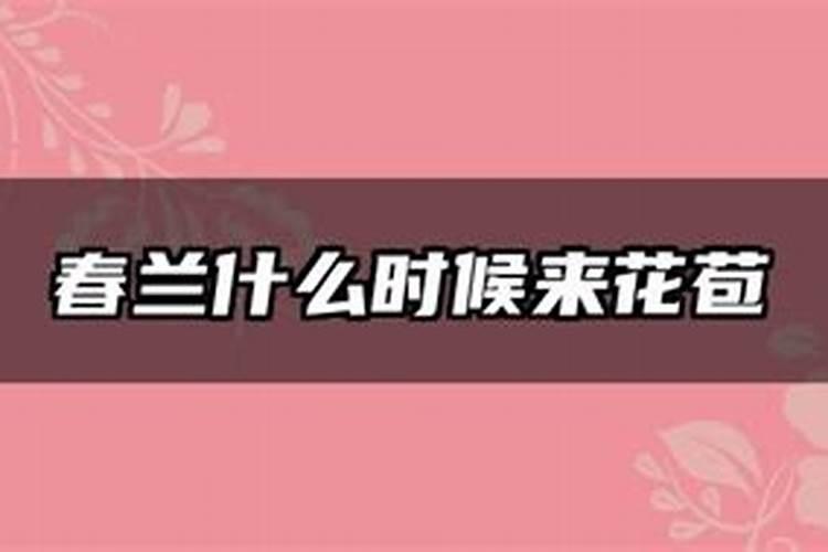 水痘带状疱疹病毒怎么治疗