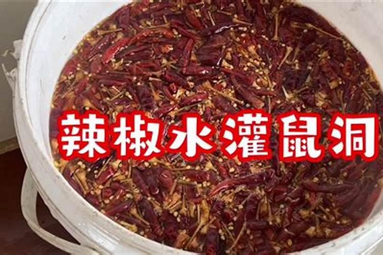 长辣椒时上什么肥