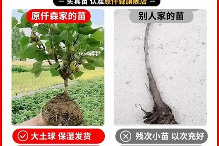 生活中哪些氮肥