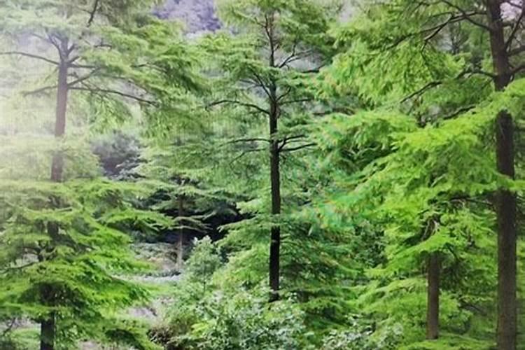 云南省昆明市晋宁区人口多吗