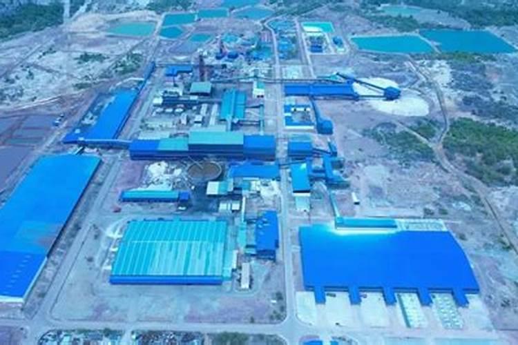 茶叶什么时候施肥最好 茶叶什么时间施肥最合适呢