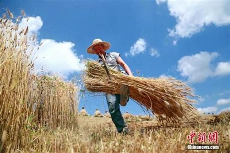 黑土地、红土地和黄土地都是什么意思？