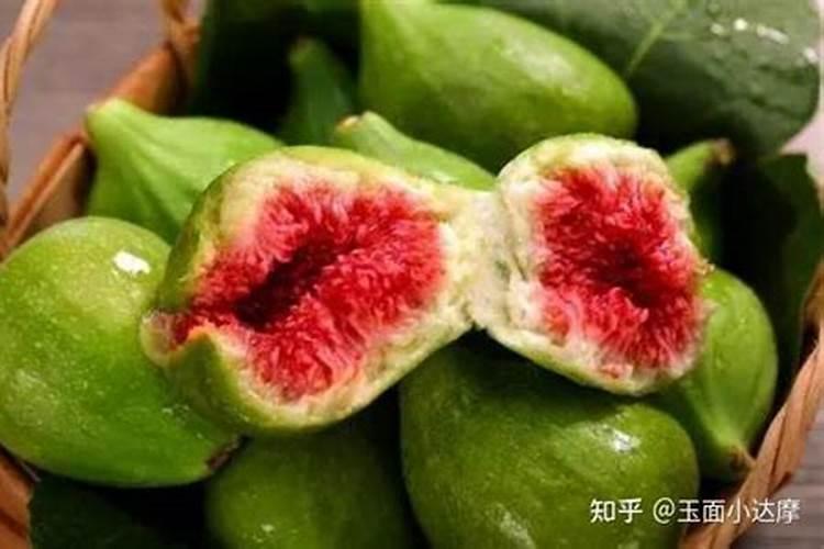 盆栽无花果施什么肥最好