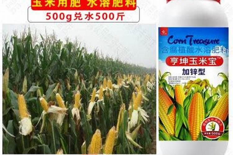 玉米专用复合肥能在土壤表面使用吗