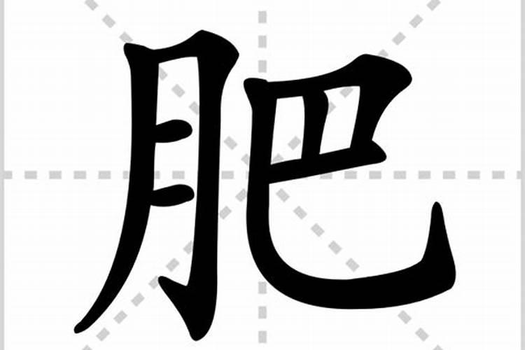 肥组词、肥字的组词、肥怎么组词？