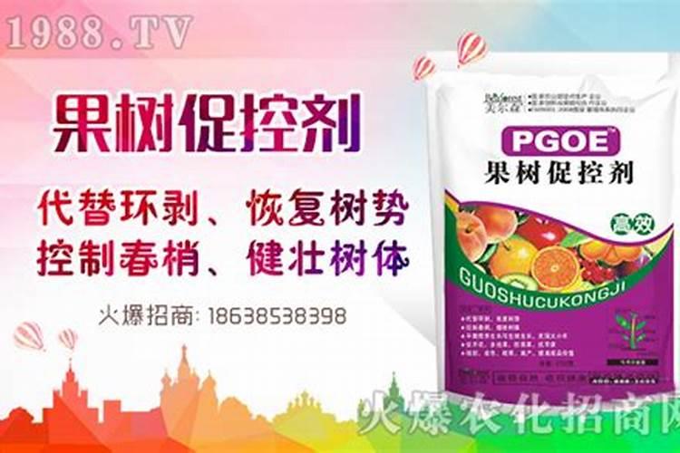 多效唑在小麦使用方法及注意事项