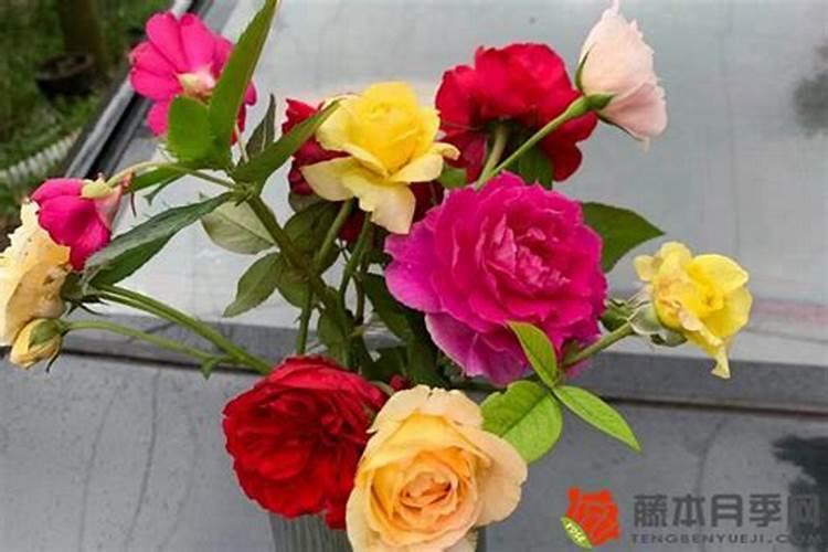 嫁接长出的萌芽可以喷叶面肥吗？