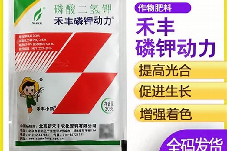牡丹苗多少钱一棵？牡丹苗批发价格