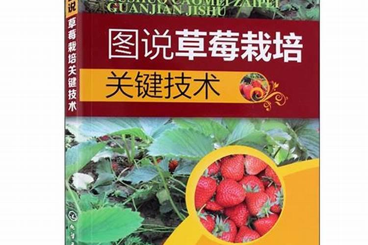 煮好的粽叶用不完怎么保存 煮过的粽叶没用完怎么保存