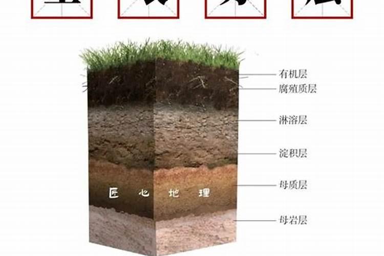 葡萄黄叶是怎么回事 叶子发黄原因及处理妙招