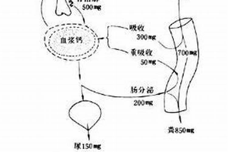 请教各位朋友:P和K的吸收对Ca的吸收有什么影响？P K肥施用过多会不会导...
