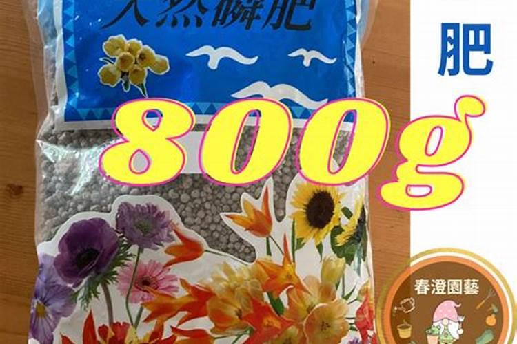 在养花时如何使用磷肥