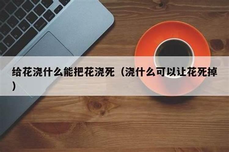 茉莉花浇什么肥料