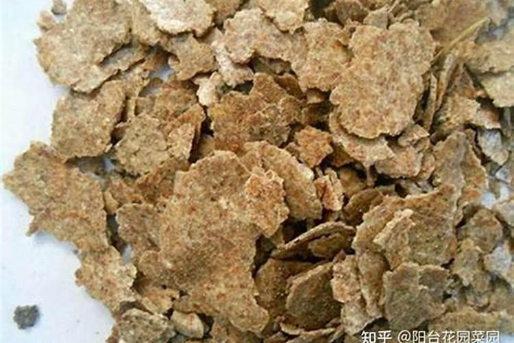 养花需要施什么肥料、肥料怎么施肥效果好
