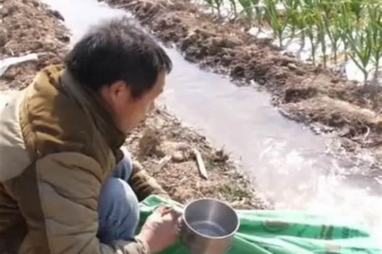 西红柿用什么水溶肥？