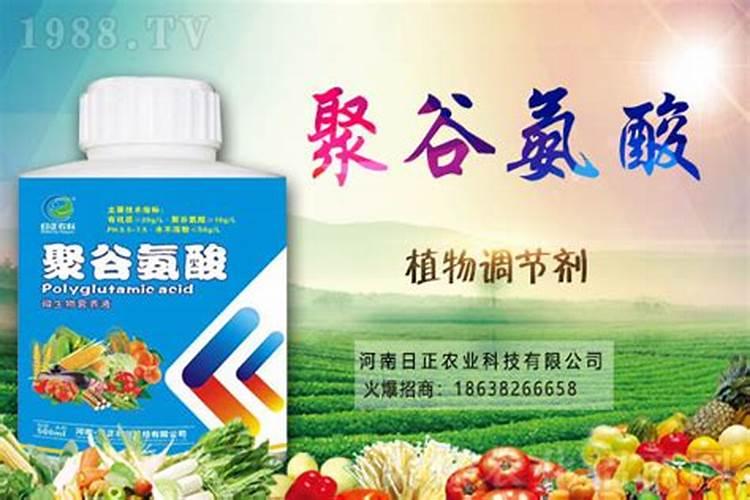 尿素含聚谷氨酸是什么意思
