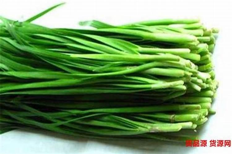 韭菜用什么肥料长得又肥又壮