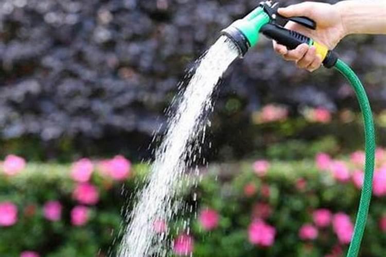 水溶肥料能和白醋一起汇水浇花吗
