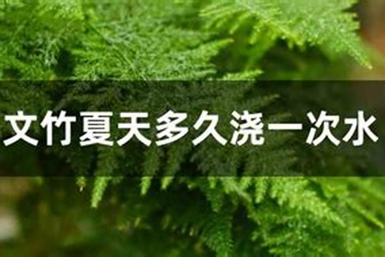 新疆矿源黄腐酸钾哪个厂家的品牌好