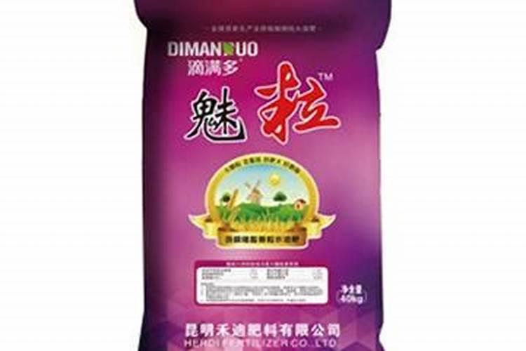 夏天怎么给月季促芽