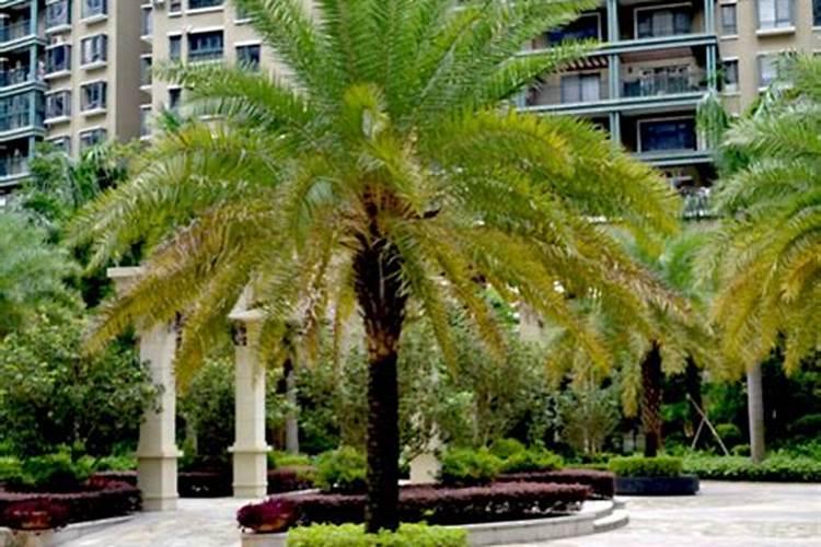 《木筏求生》菜谱配方一览介绍《木筏求生》菜谱配方一览是什么