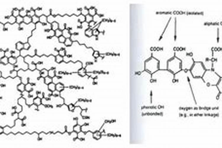腐殖酸系列肥料对植物生长的作用